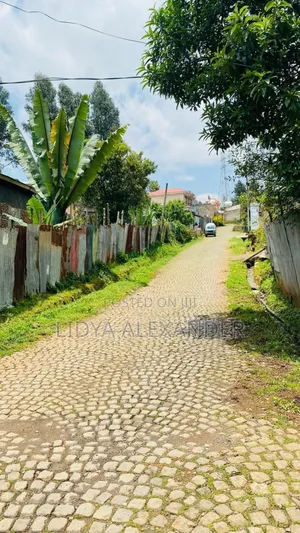 Photo - Land Around Asko