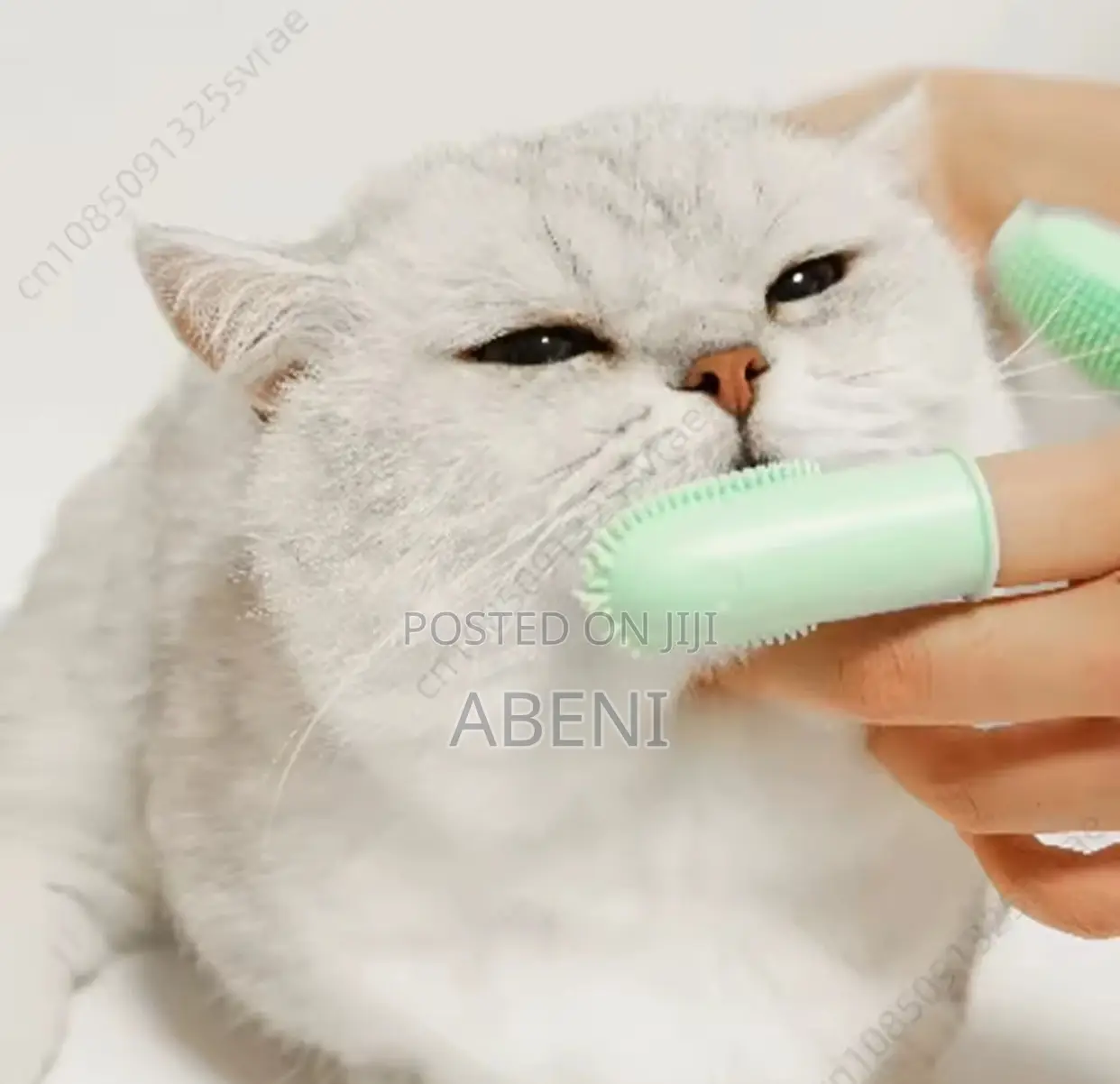 Pet Toothbrush
