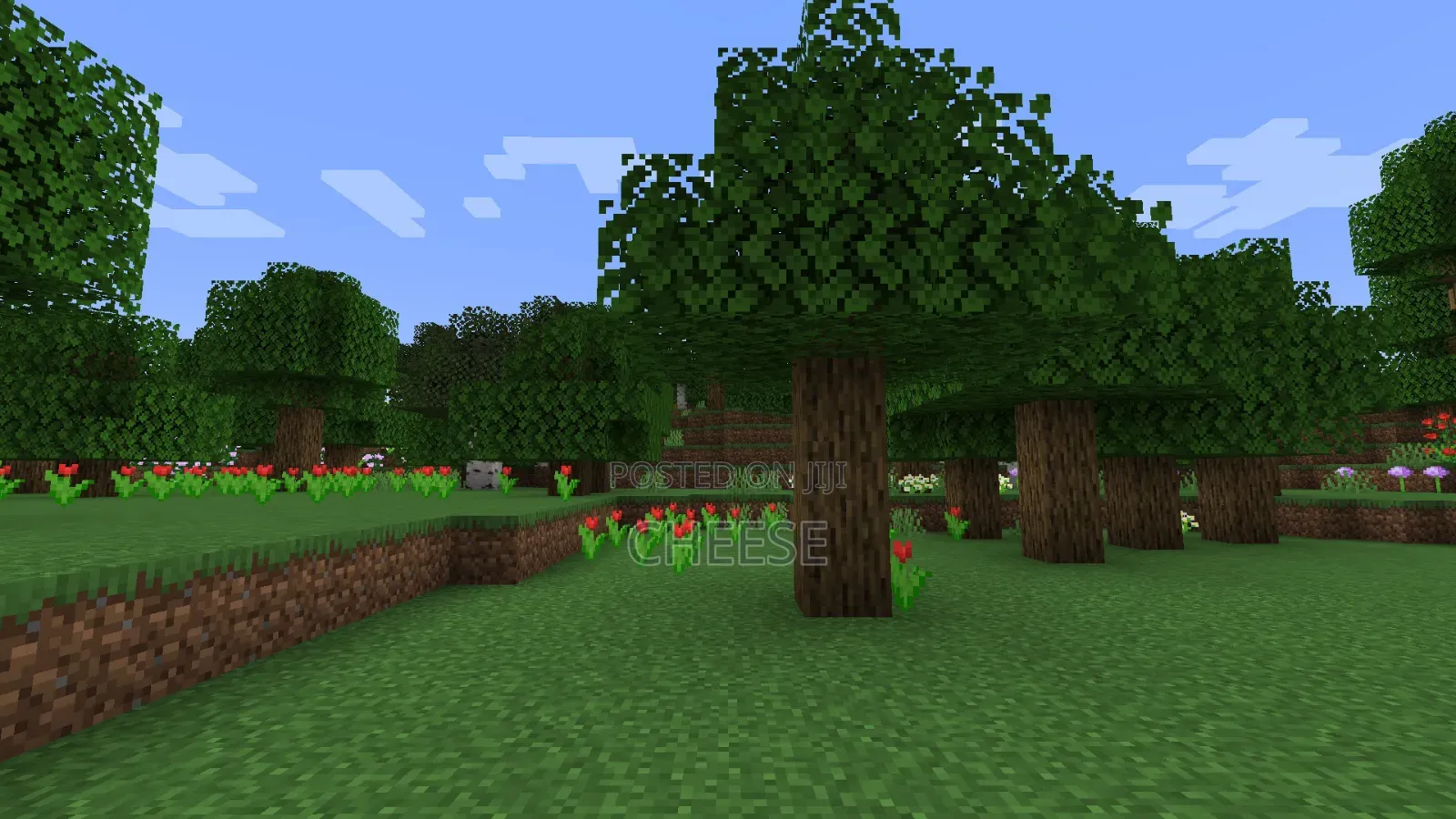 Minecraft Pc(Torrent)