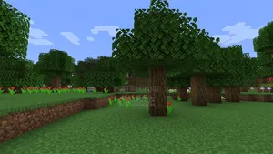 Minecraft Pc(Torrent)