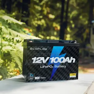 Ecoflow Lifepo4 Bp 100 12v 100 Ah Battery