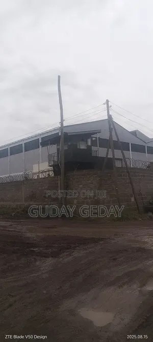 Photo - መጋዘን Warehouse ቃሊቲ 6000kare