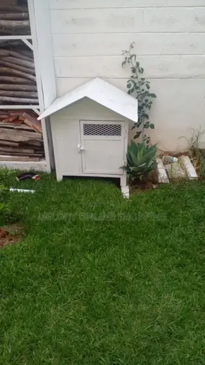 Kennel የውሻቤት, Dog House, Dog Cage,