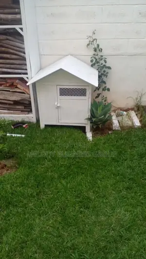 Kennel የውሻቤት, Dog House, Dog Cage,