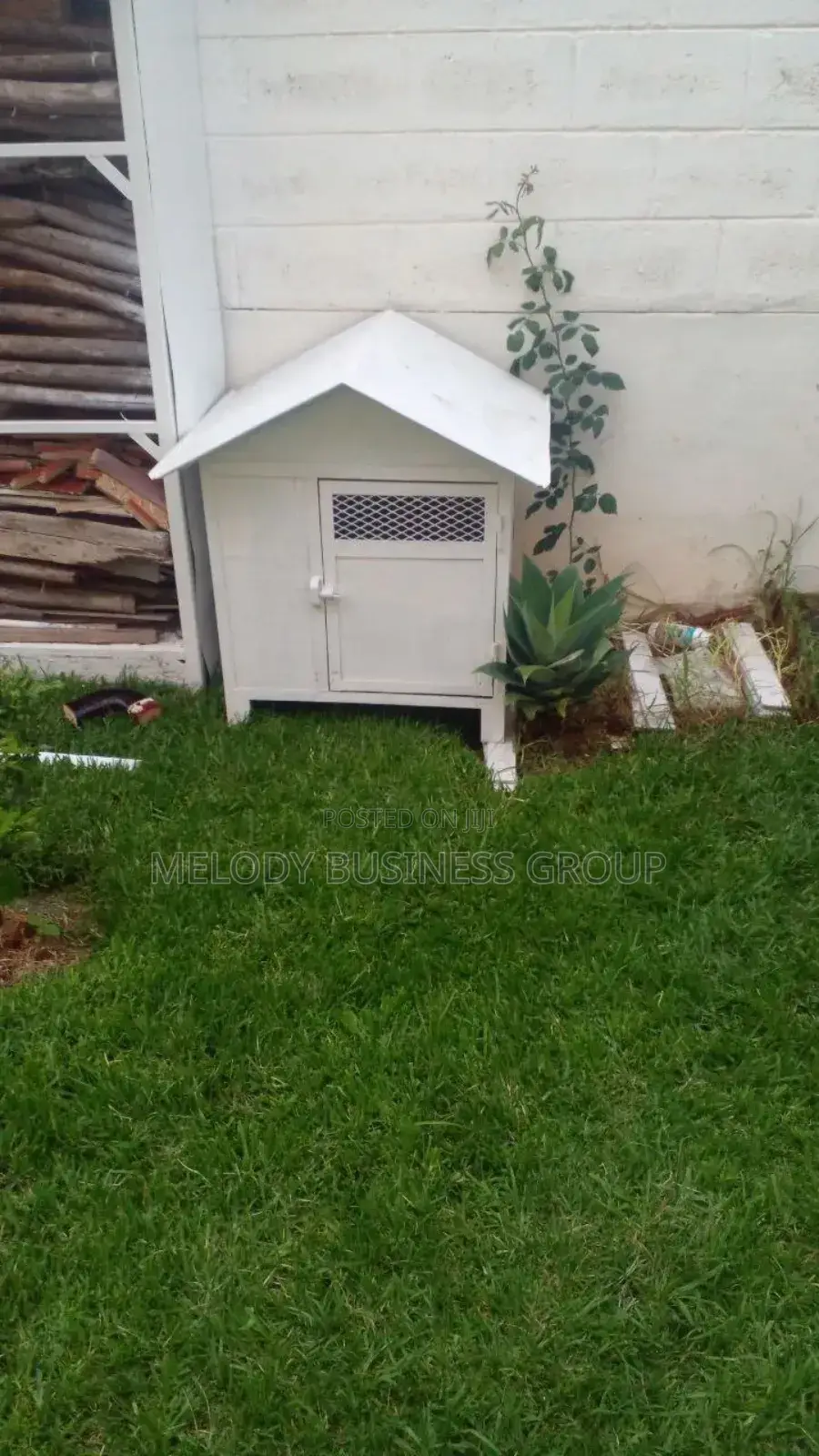 Kennel የውሻቤት, Dog House, Dog Cage,