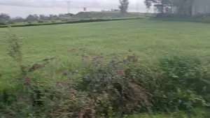 Le Doro Irbata Ict Park New Lelelam