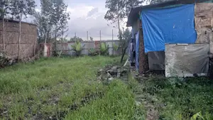 Le Doro Irbata Ict Park New Lelelam