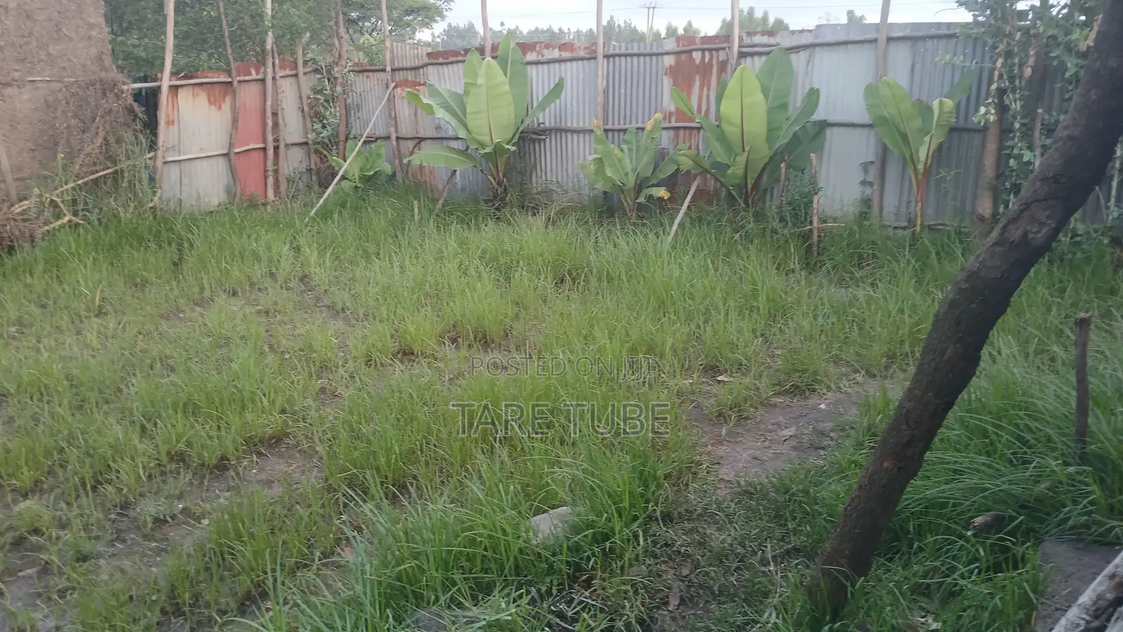 Le Doro Irbata Ict Park New Lelelam