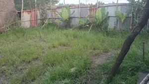 Le Doro Irbata Ict Park New Lelelam