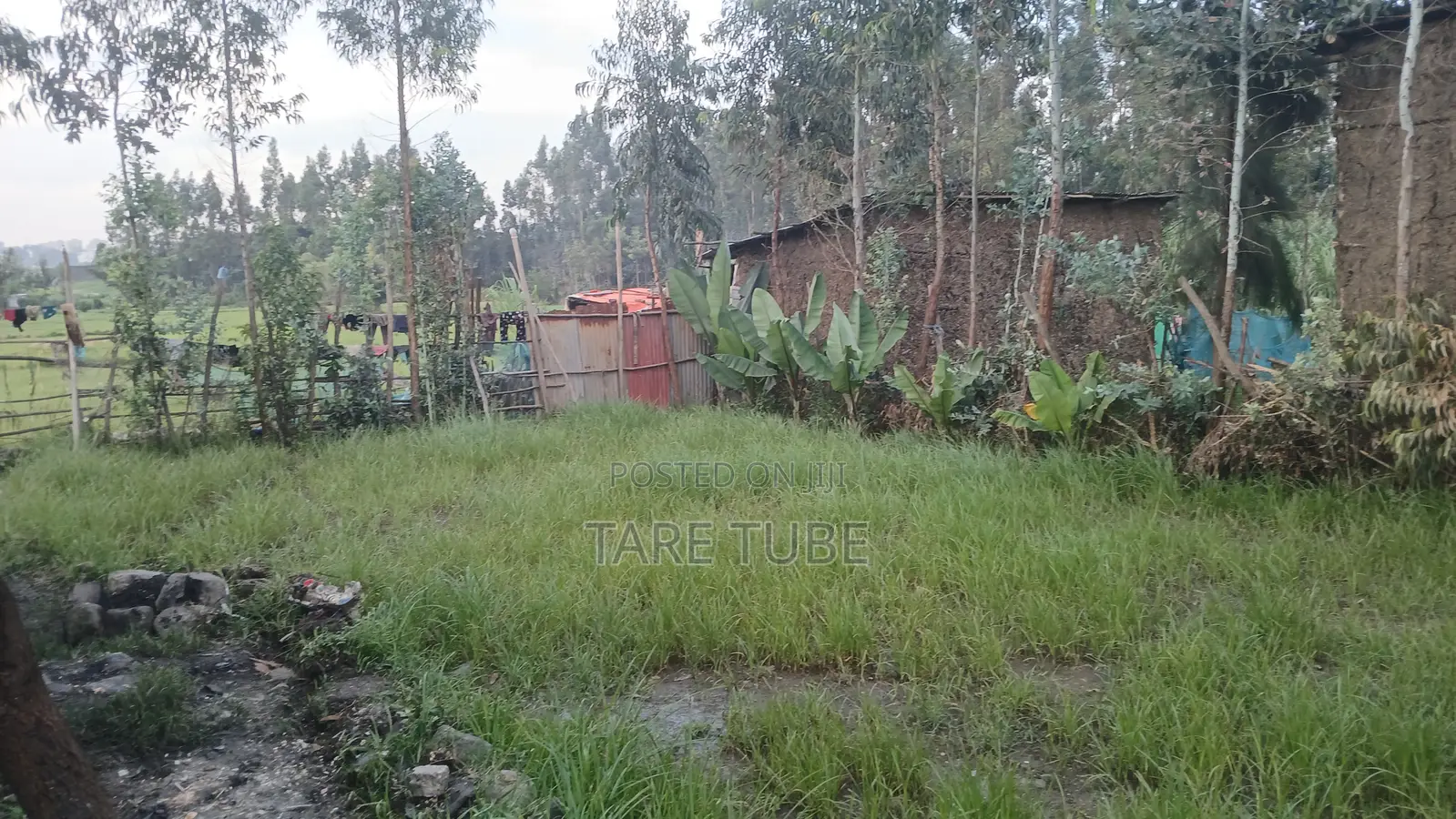 Le Doro Irbata Ict Park New Lelelam