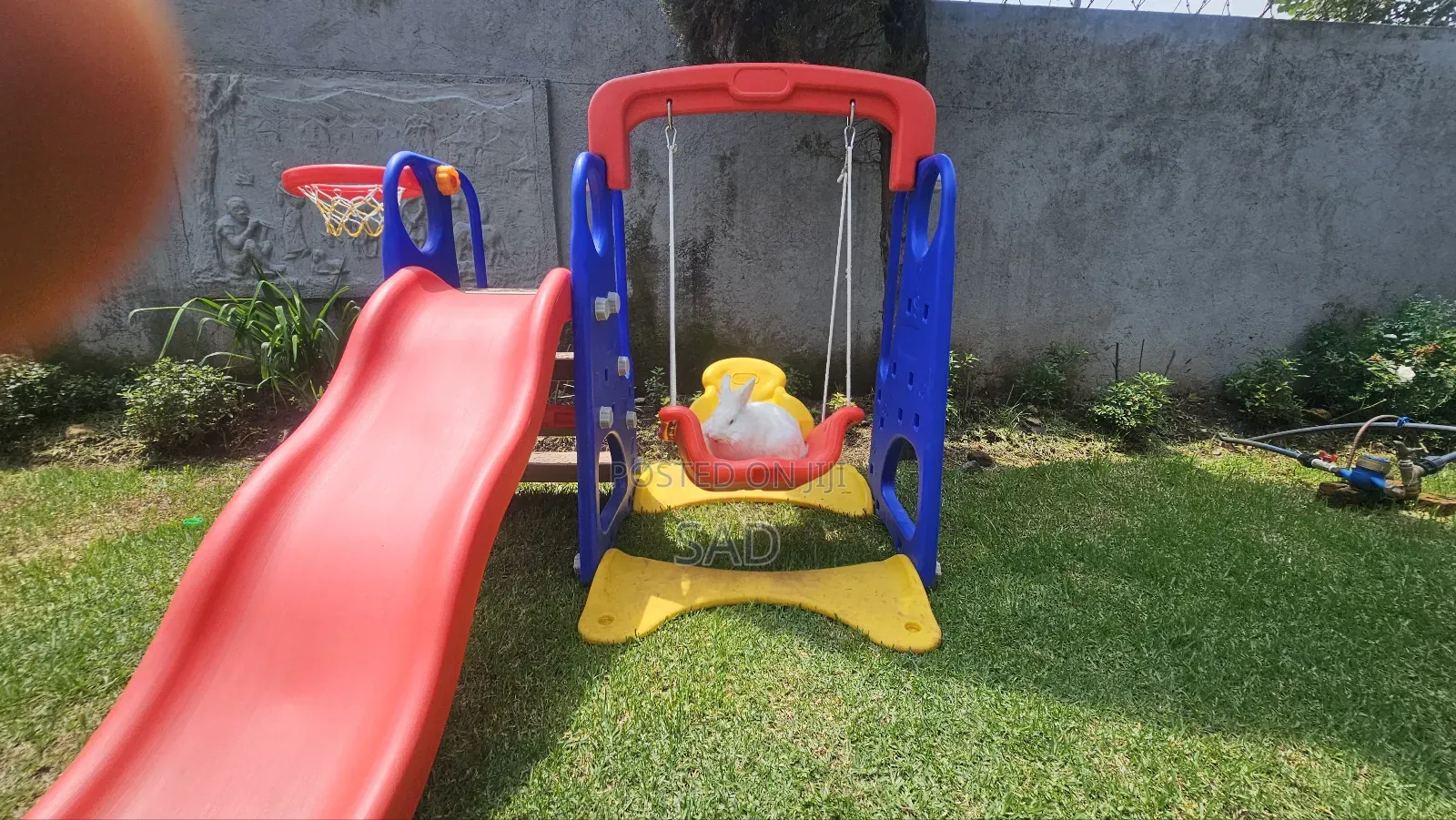 ጥንቸሎች ይገኛሉ