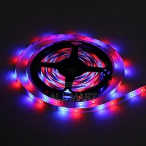 Supper Bright 5m Led Strip Light