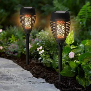 Led Solar Garden Light