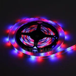 Super Bright 5m Led Strip Light