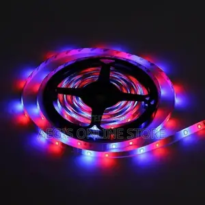 Super Bright 5m Led Strip Light
