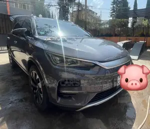 BYD Tang EV 2025 Gray