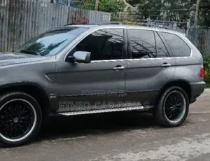 BMW X5 2005 Gray
