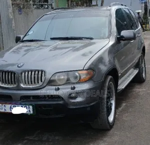 BMW X5 2005 Gray