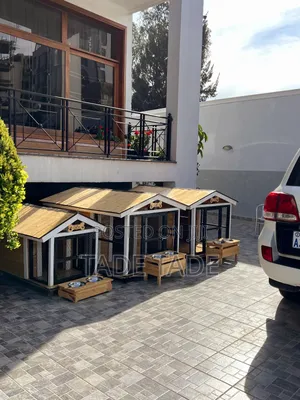 Photo - Amazing Dog House