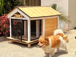 Amazing Dog House