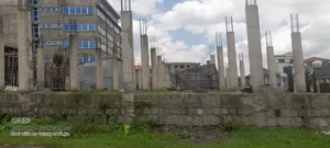 7bdrm Farm House in East Shewa for rent