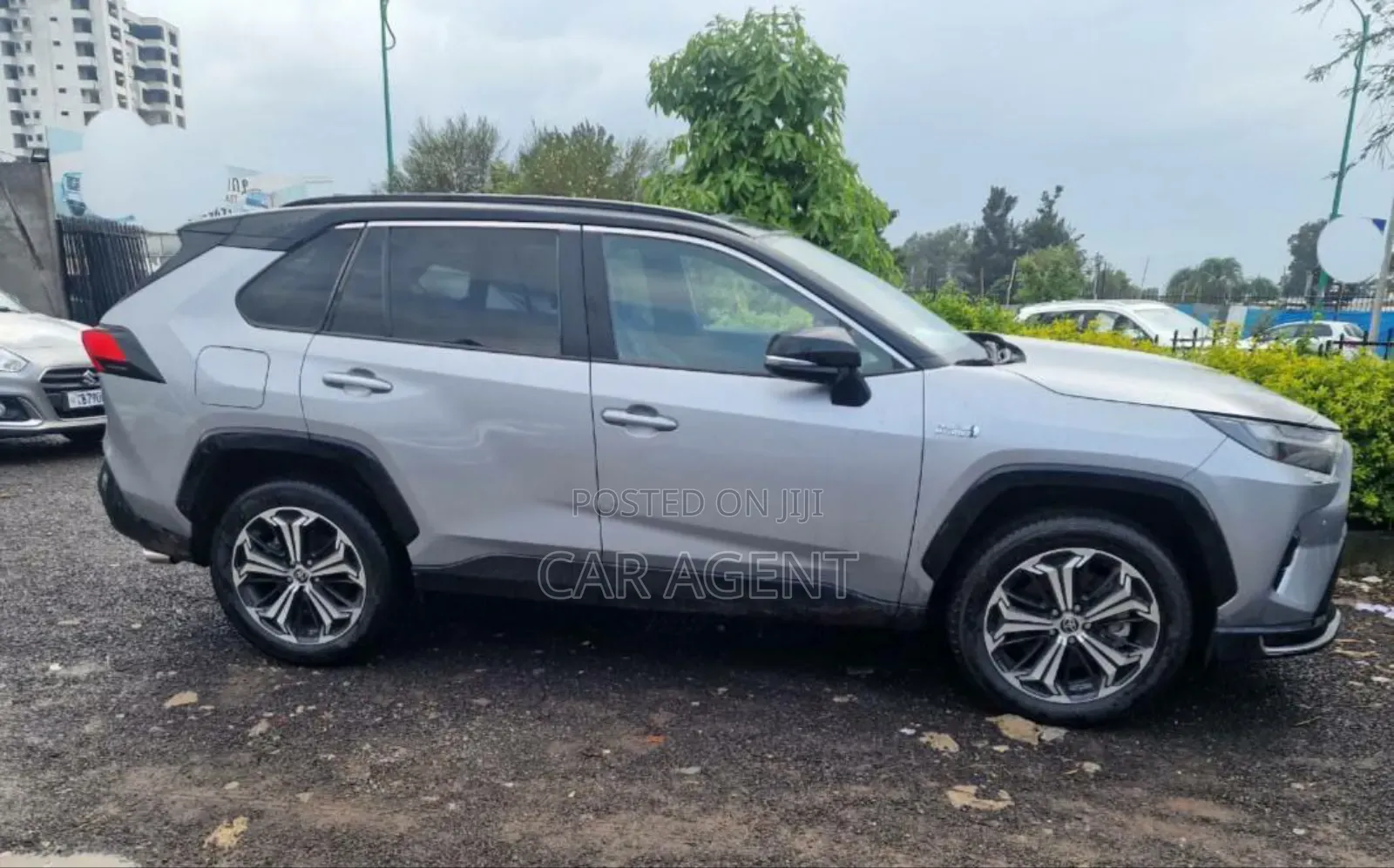 New Toyota RAV4 2024 Gray