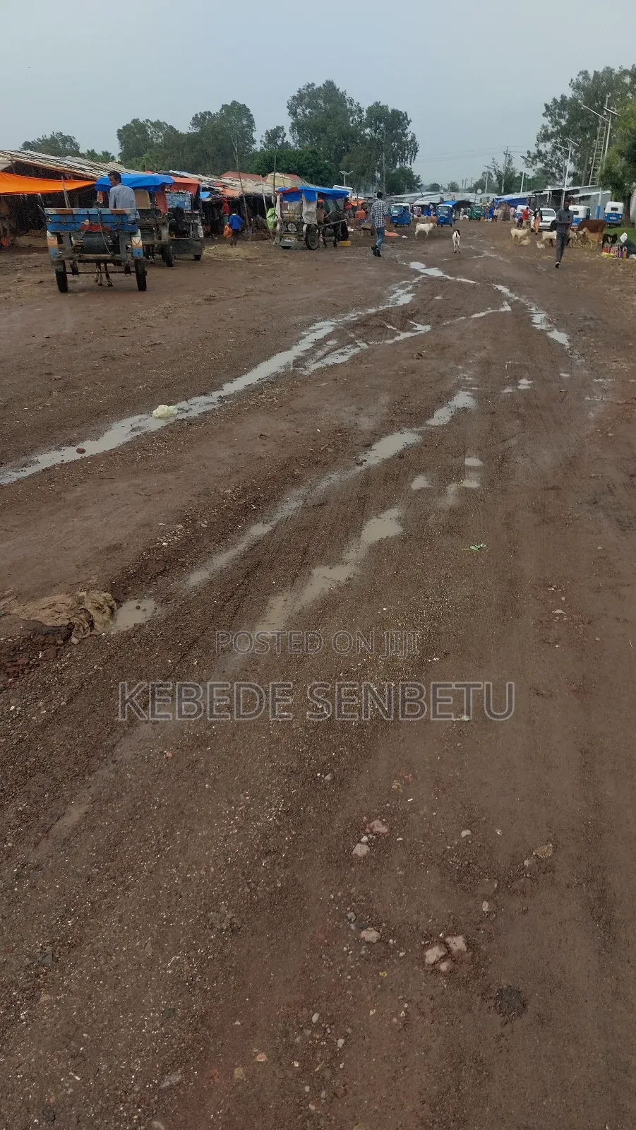 3bdrm House in Bole for rent