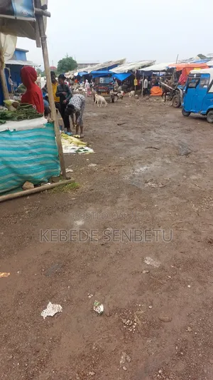 3bdrm House in Bole for rent