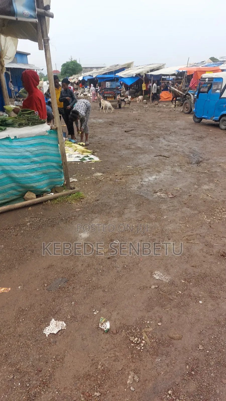 3bdrm House in Bole for rent