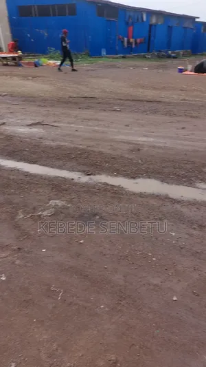 3bdrm House in Bole for rent