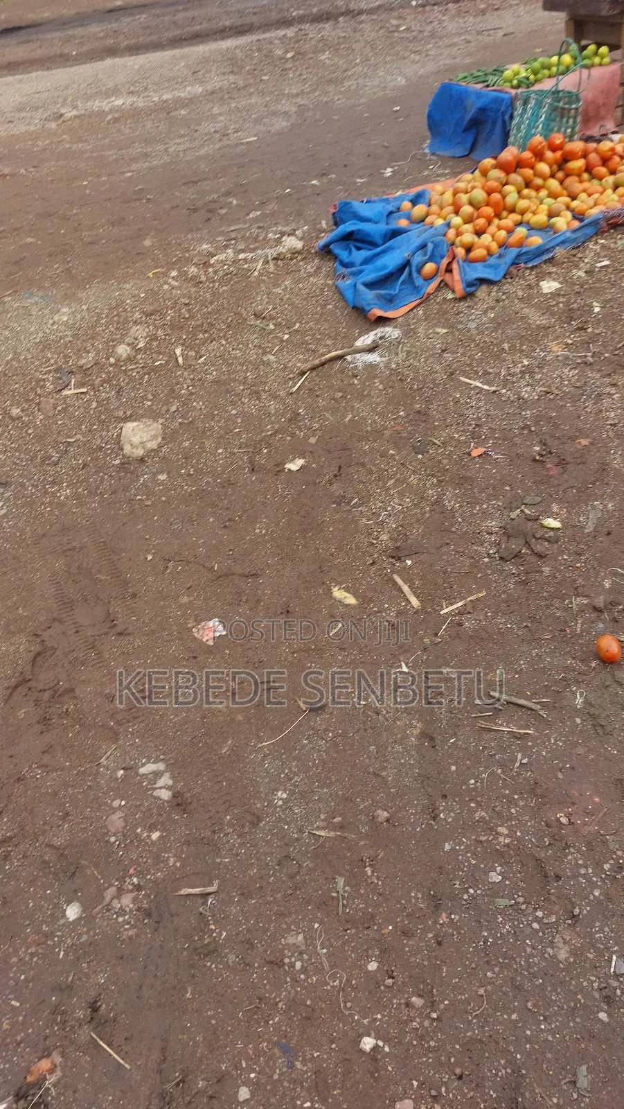 3bdrm House in Bole for rent