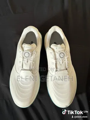 Ecco and Cole Haan Shoes