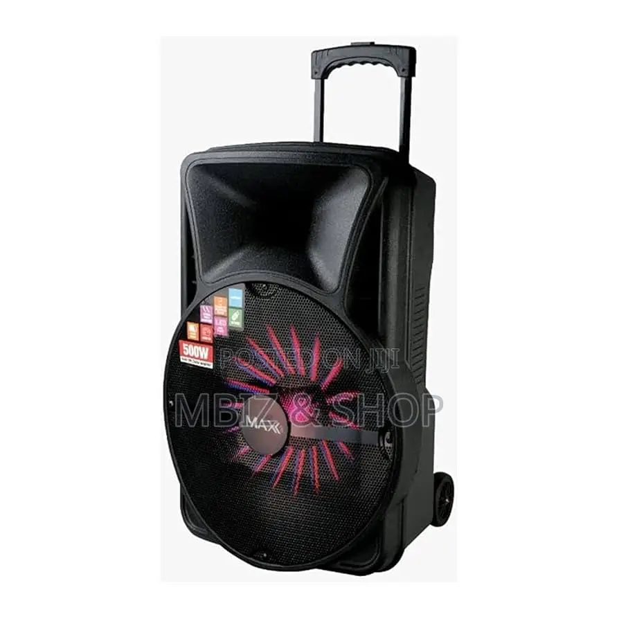 Max Professional Wireless Speaker