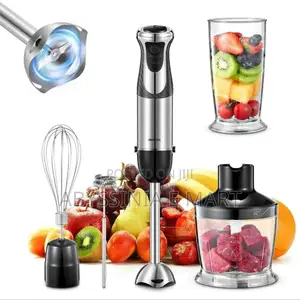 Silver Love 5 in 1hand Blender