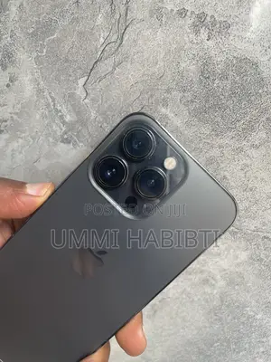 Apple iPhone 13 Pro 256 GB Gray