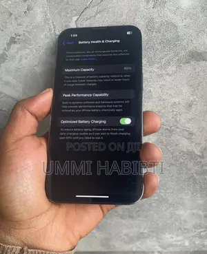 Apple iPhone 13 Pro 256 GB Gray