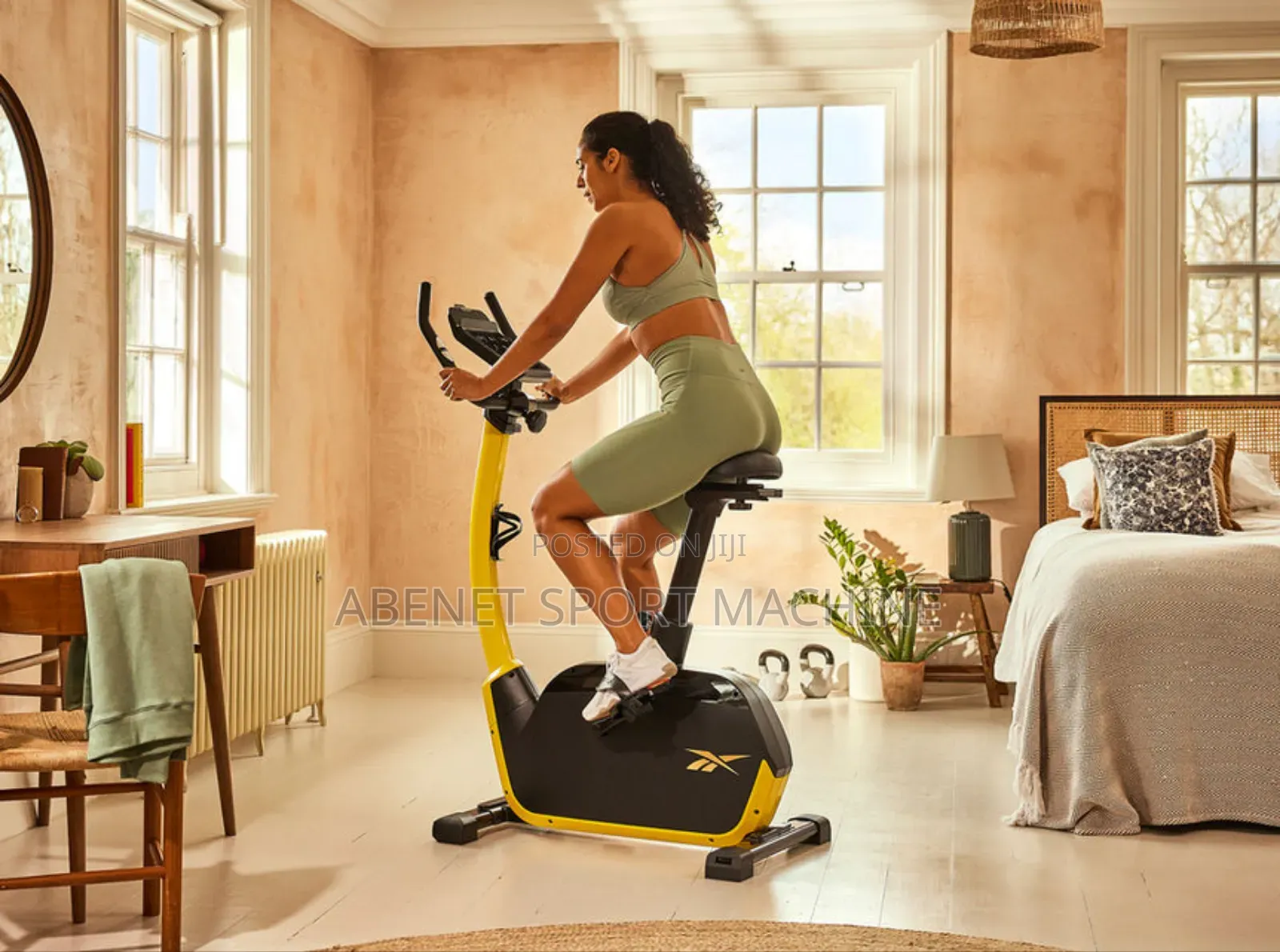 European Standard Reebok Fr30 Exercise Bike for Home