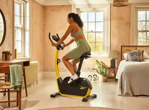 European Standard Reebok Fr30 Exercise Bike for Home