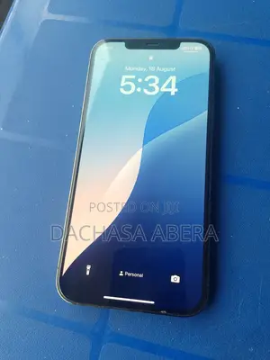 Apple iPhone 12 Pro Max 256 GB Black