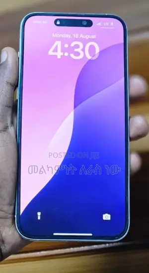 New Apple iPhone 15 Pro Max 256 GB