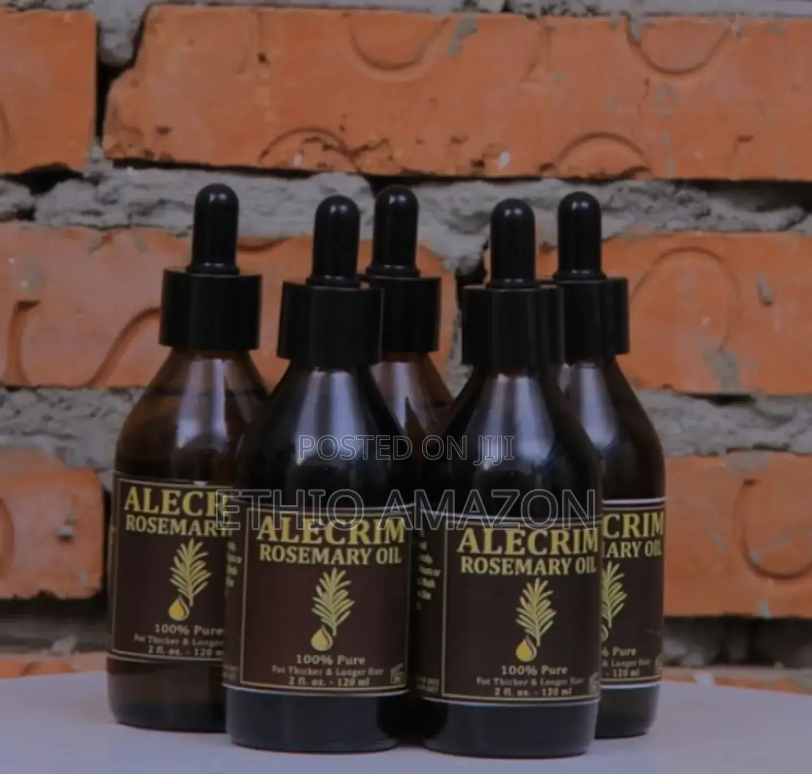 Alecrim Rosemary