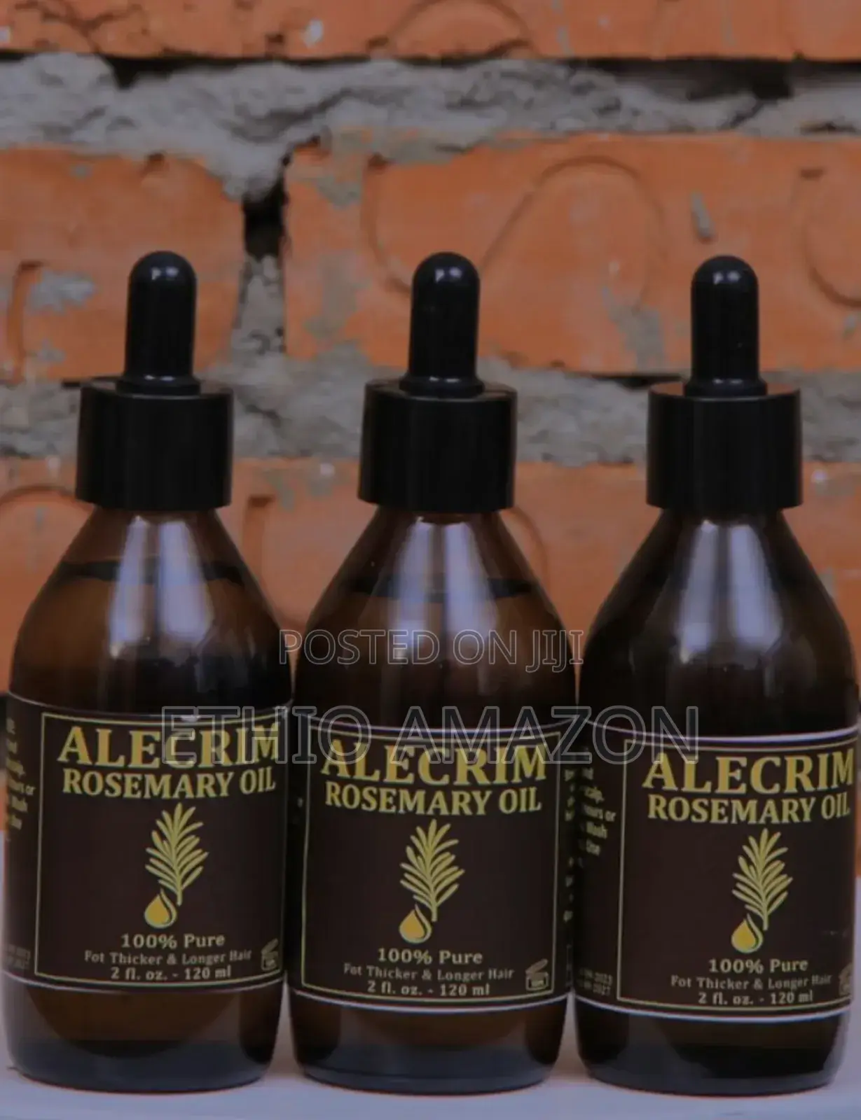 Alecrim Rosemary