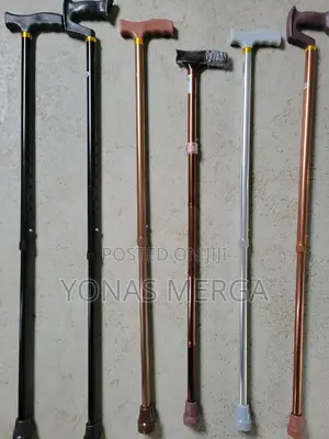 Photo - Walking Stick