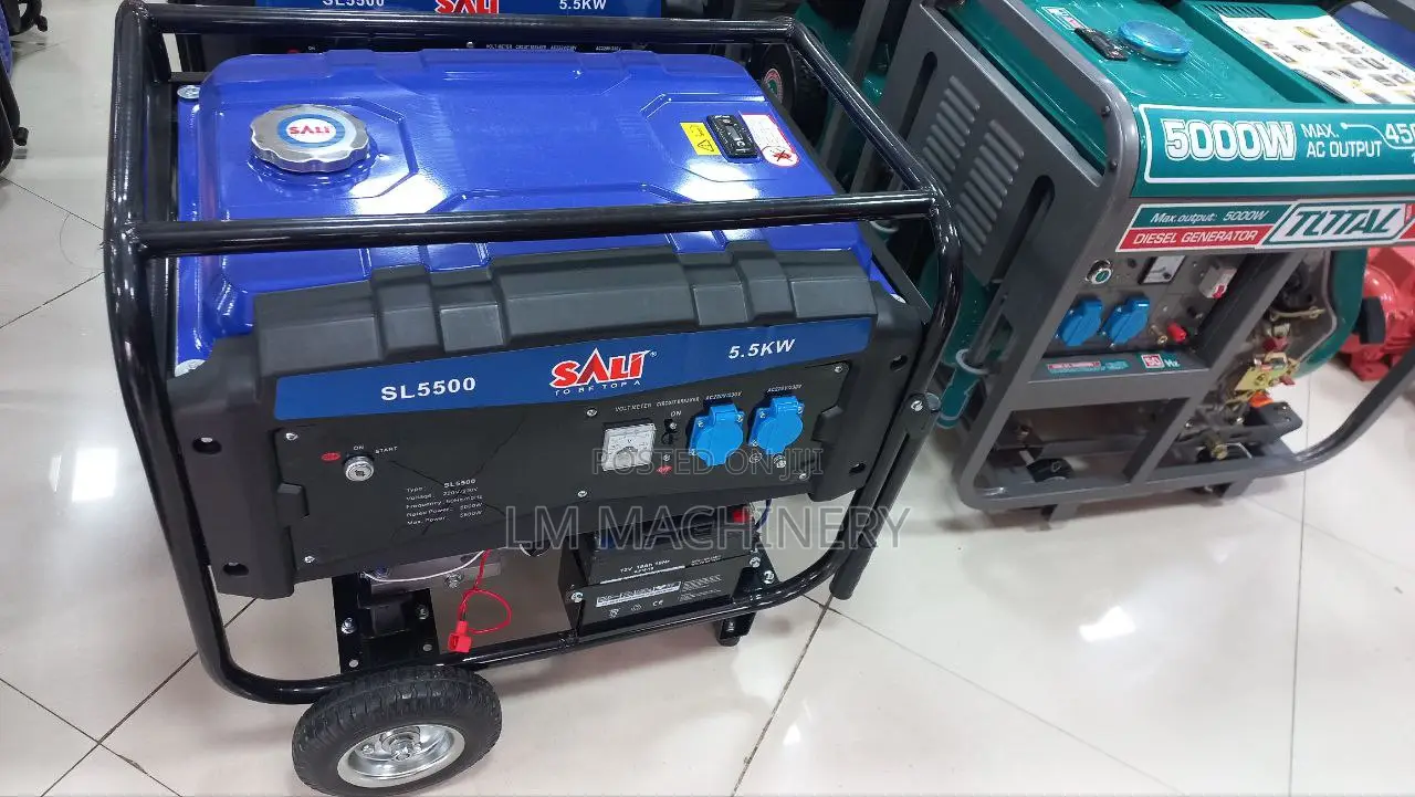 Sali 5.5kw Gasoline Generator