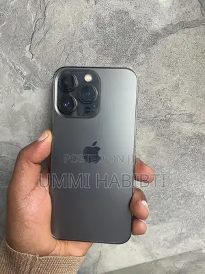 Apple iPhone 13 Pro 256 GB Gray