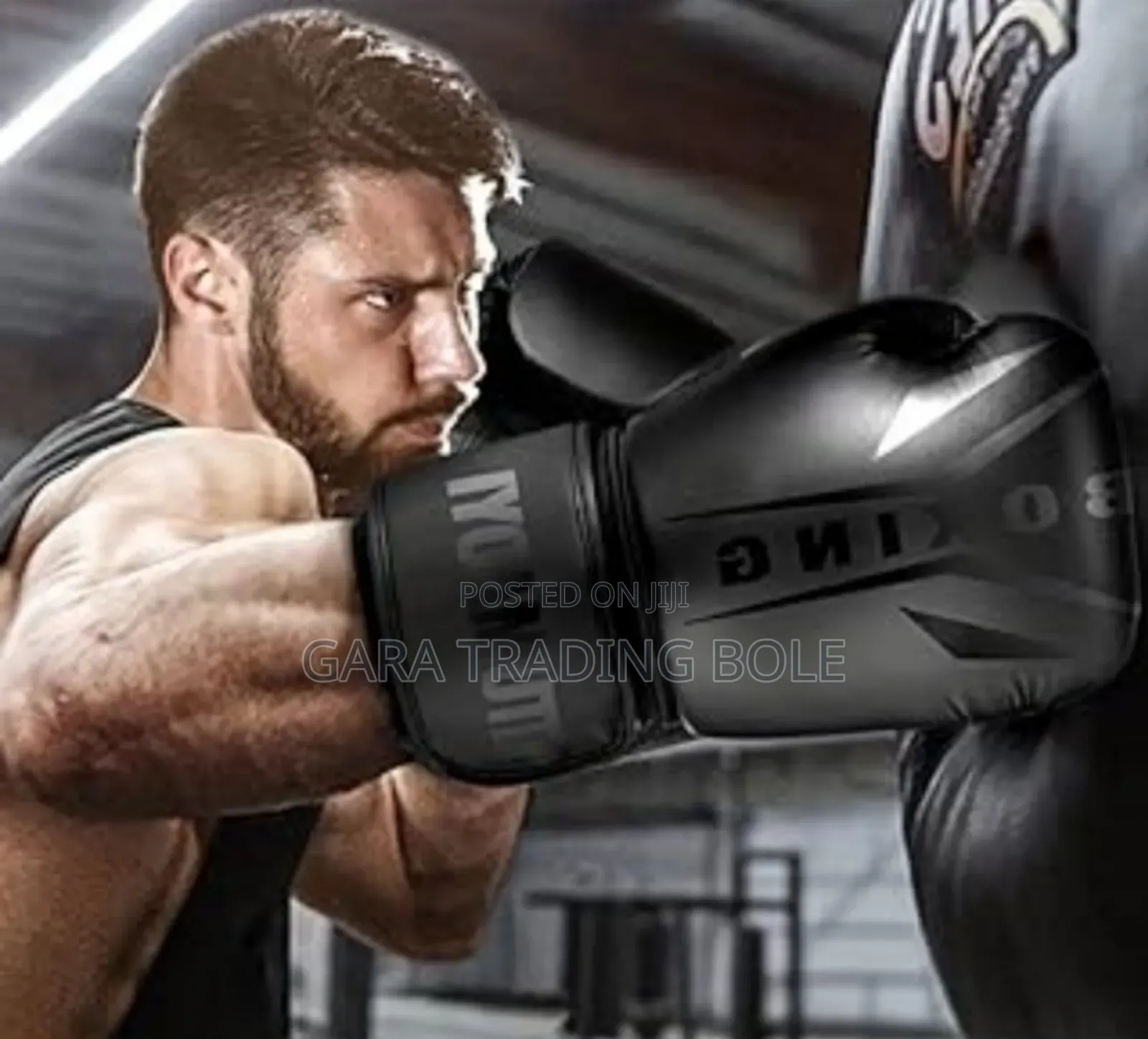 Premium Fitness Equipment for Home Workout"