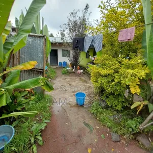 2bdrm House in Kotobe Kollejii, Yeka for sale