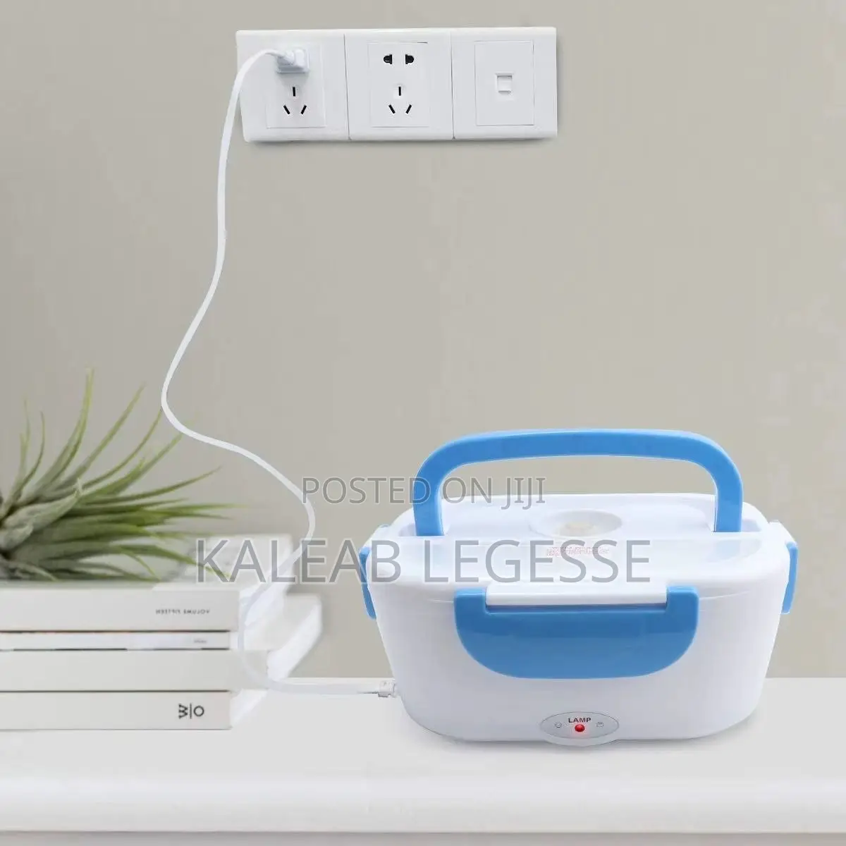  Portable Electric Lunch Box