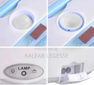  Portable Electric Lunch Box