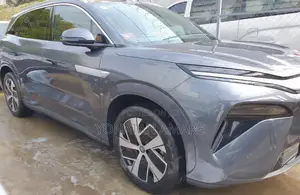 Photo - New BYD Song L DM-i 2025 Gray